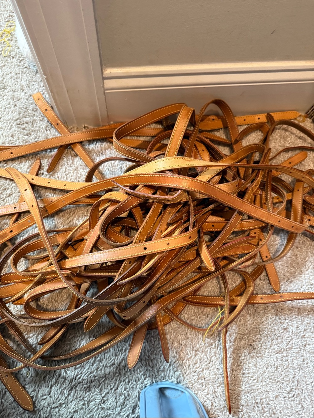 Louis Vuitton bucket Straps